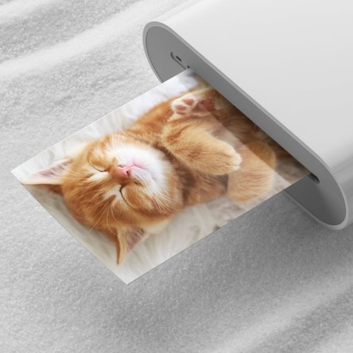 Xiaomi TEJ4019GL Portable Photo Printer Paper(2*3 Inches)