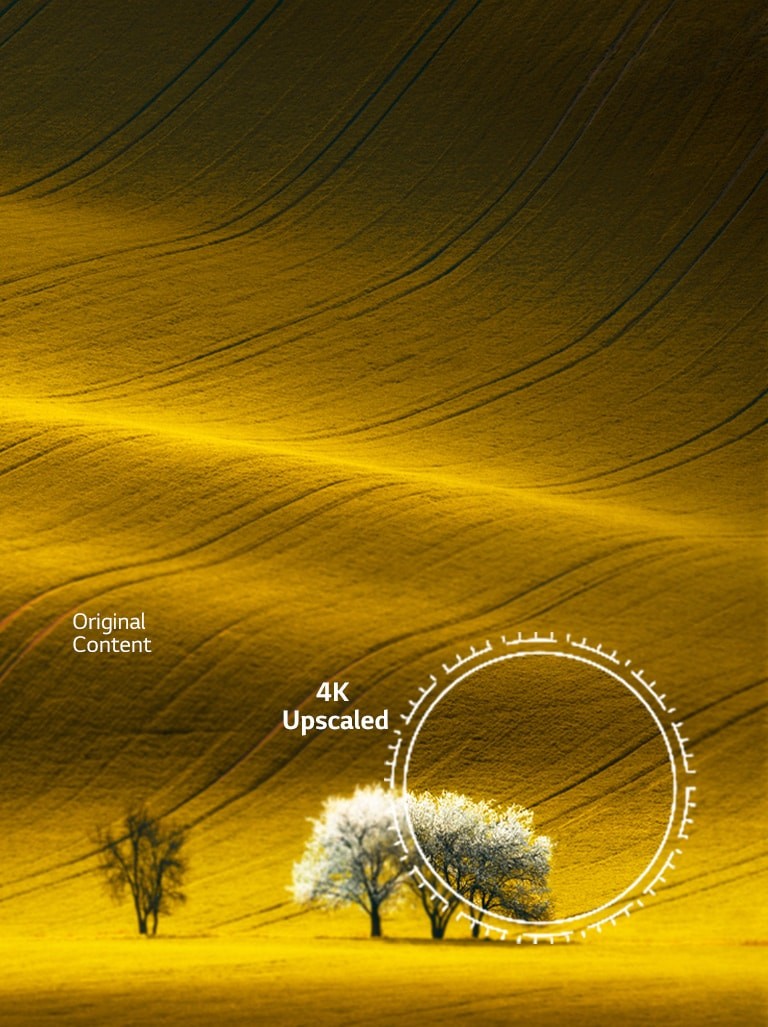 Redefine Scale of 4K